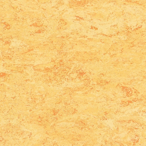Linoleum Fertigfußboden Dorado